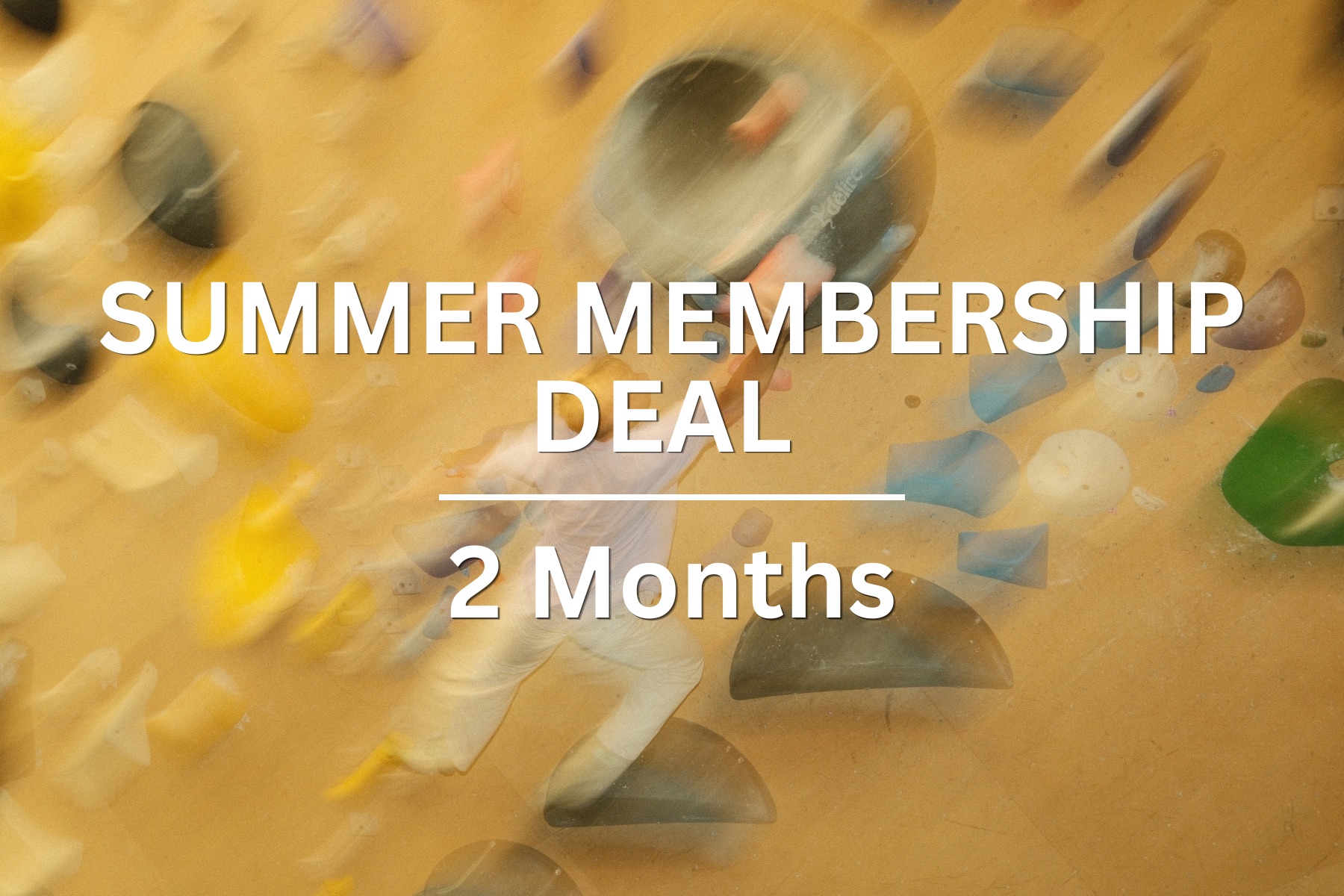 2 Month Summer Special Pass