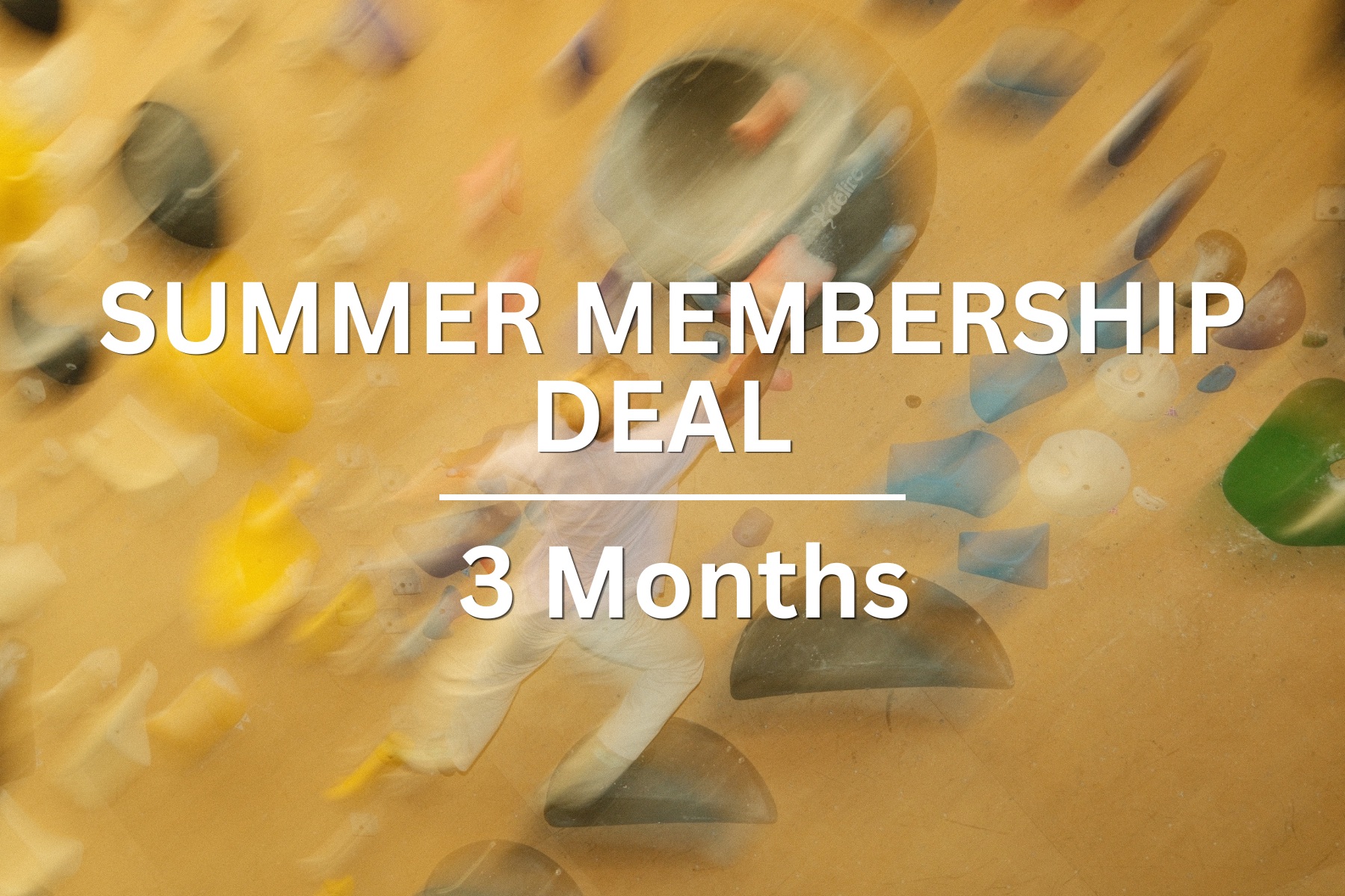 3 Month Summer Special Pass