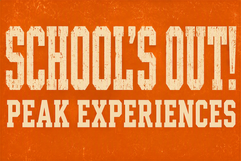 School's Out Day Program