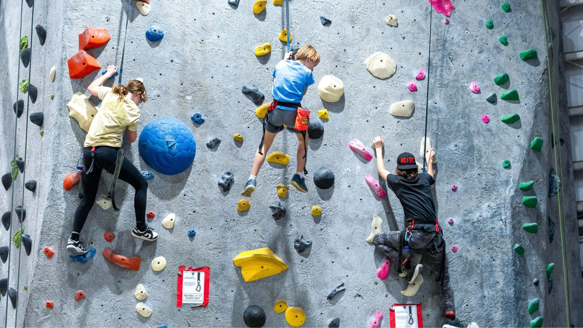 Group Auto Belay