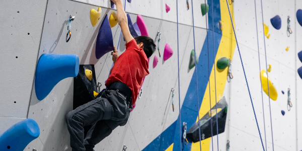 Half Day PM Summer Camp(9-11)