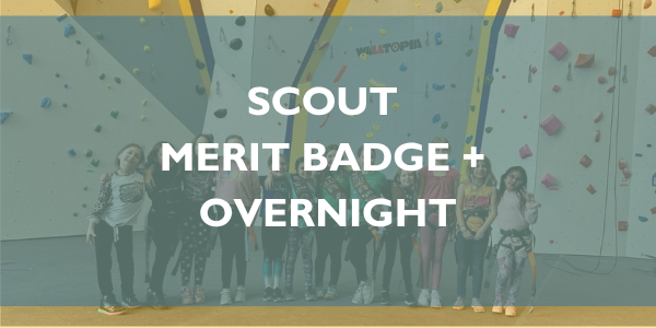 Scout Merit Badge Rock N' Lock