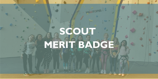 Scout Merit Badge
