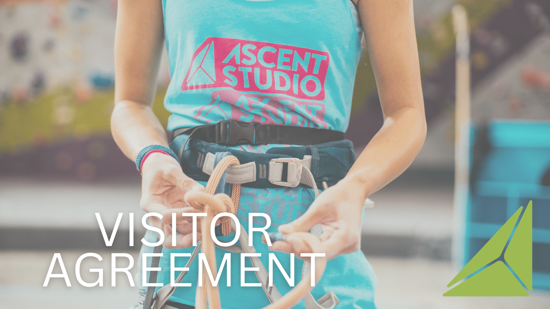 Visitor Agreement
