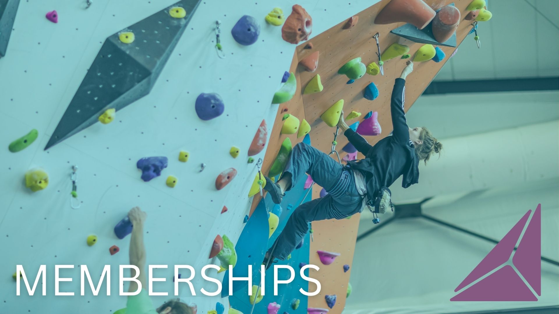 Memberships