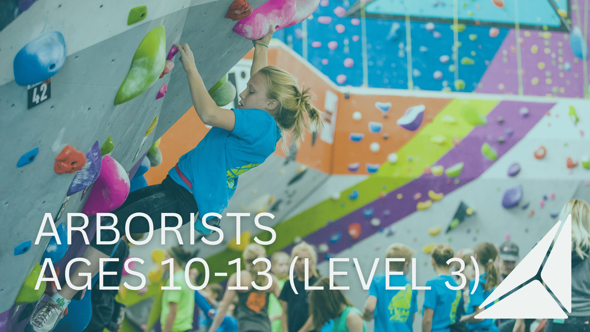 Arborists[10-13] Level 3