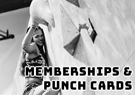 Memberships & Punch Passes