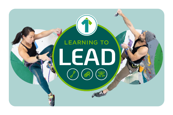 Learning to Lead