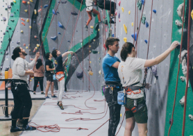 Guided Climbing Experience