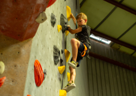 Half Day Summer Camp