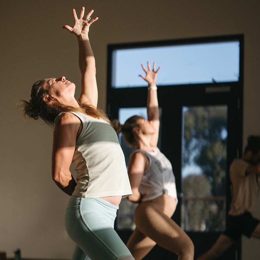 Forrest and Vinyasa