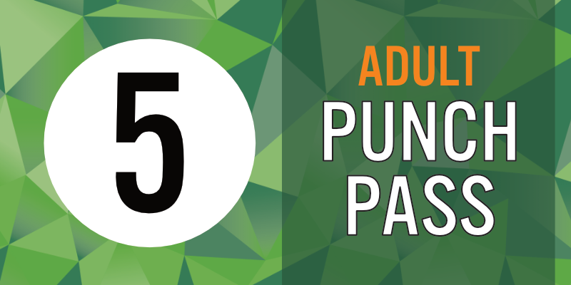 Adult 5-Punch Pass