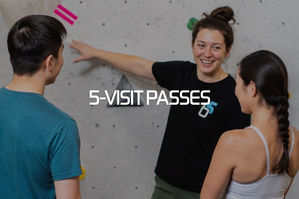 5 Visit Pass