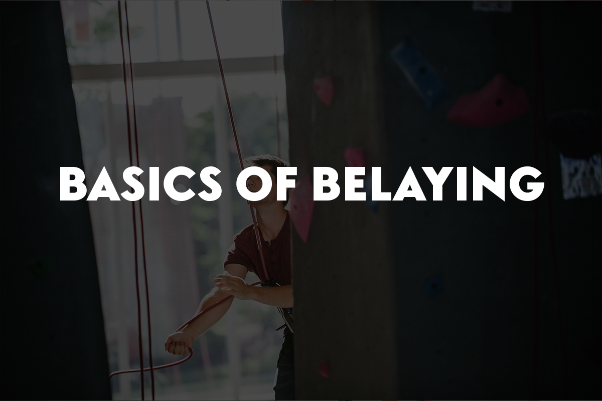 Basics of Belaying Field Trip