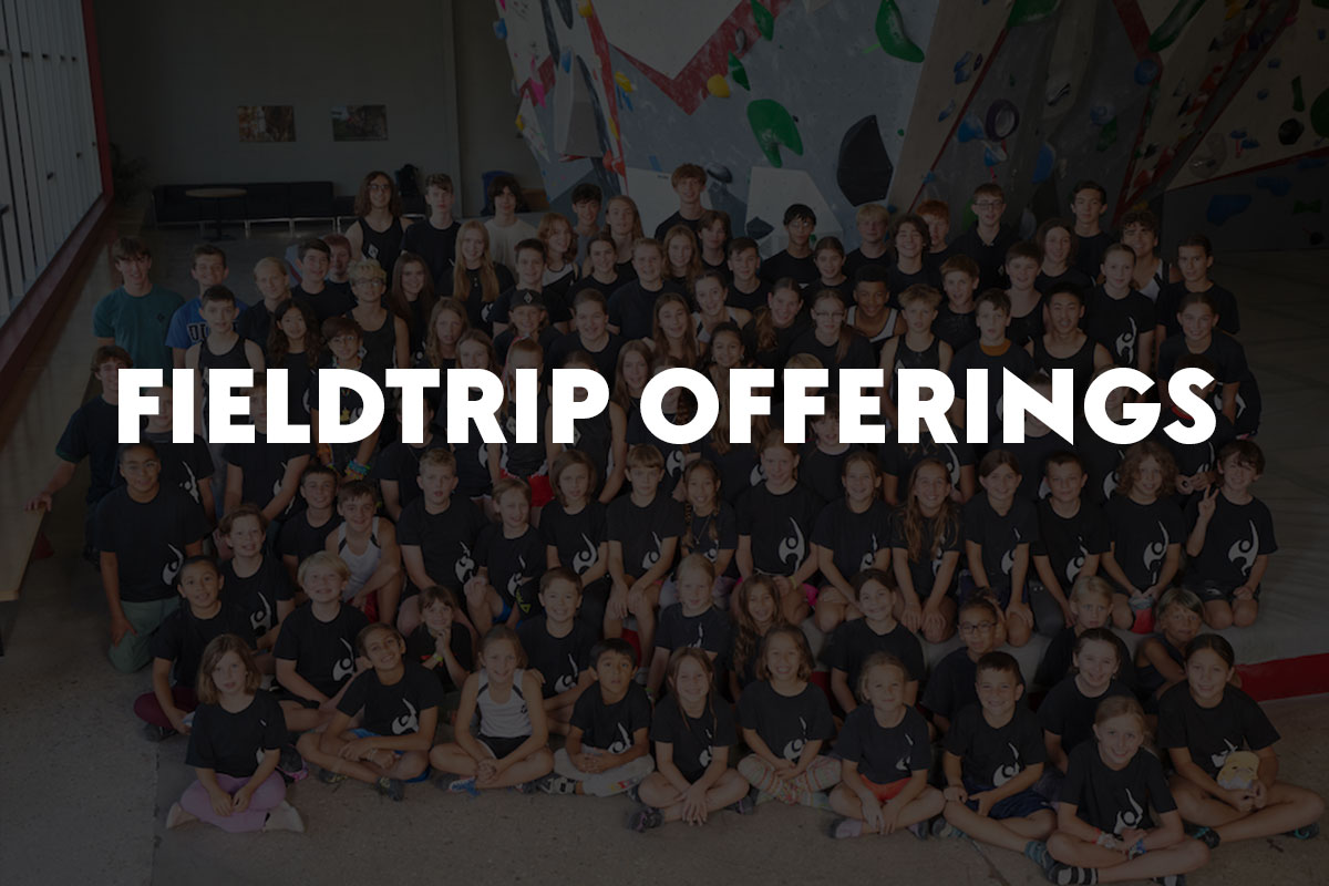 FieldTrip