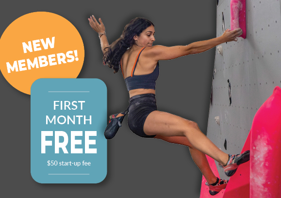 Limited Time Offer