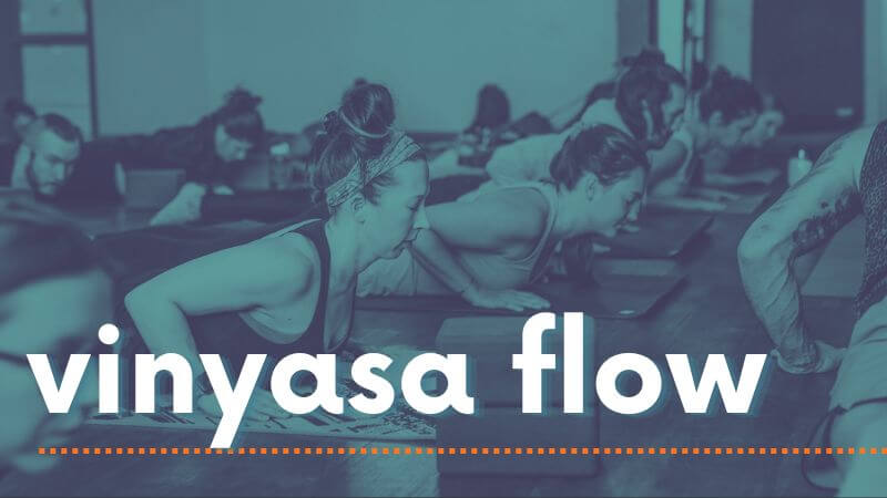 Vinyasa Flow w/ Ellen