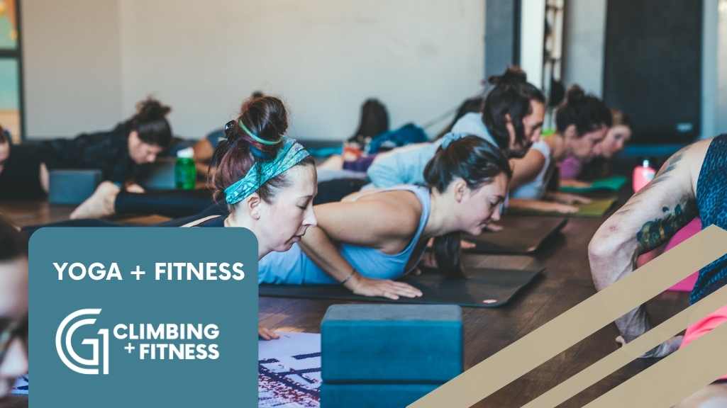 Yoga + Fitness