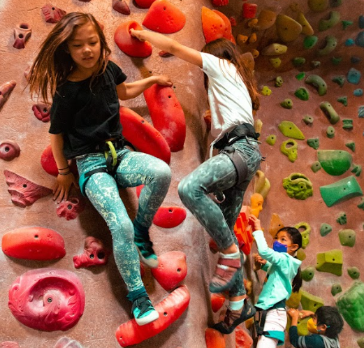 Camp Mesa Rim || 1 Day || Ages 6-13