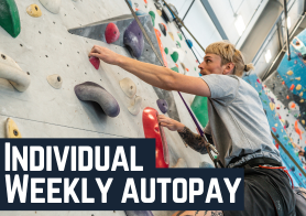 Individual Weekly Autopay