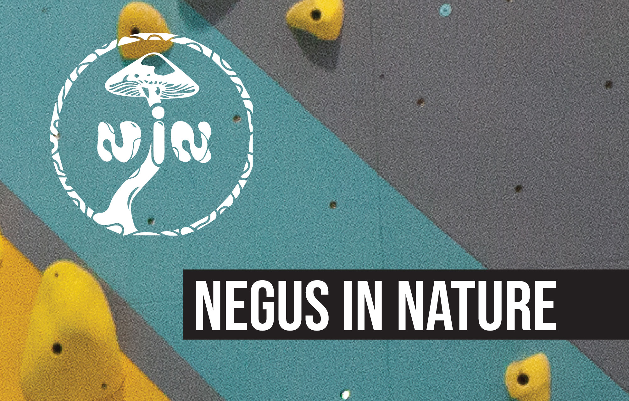 Negus in Nature: Coffee and Climb