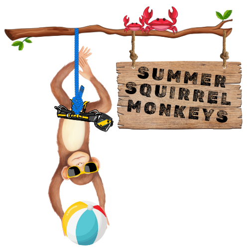 Half Day Summer Camps